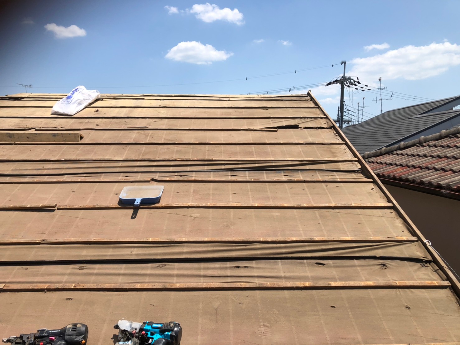 リッジウェイアーストシーダー